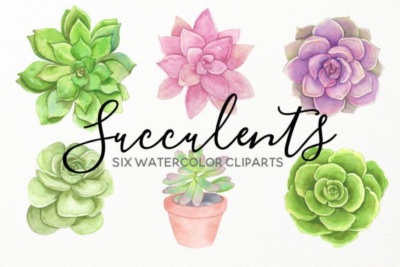 Download Water Succulents Hand Painted Cliparts - Hand painted Collection
